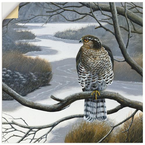 4062144388945 - Wandbild ARTLAND Falke im Baum Bilder Gr B H 40 cm x 40 cm Wandaufkleber - Vinyl Vögel quadratisch 1 St grau Bild Leinwandbild Kunstdrucke Bilder als Leinwandbild Wandaufkleber oder Poster in versch Größen 4062144388945 - Wandbild ARTLAND Falke im Baum Bilder Gr B H 40 cm x 40 cm Wandaufkleber - Vinyl Vögel quadratisch 1 St grau Bild Leinwandbild Kunstdrucke Bilder als Leinwandbild Wandaufkleber oder Poster in versch Größen