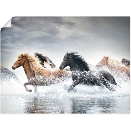 4062144825983 - Wandbild ARTLAND Pferderennen V Bilder Gr B H 80 cm x 60 cm Poster Pferdebilder Querformat 1 St beige (naturfarben) Kunstdrucke als Alubild Leinwandbild Wandaufkleber oder Poster in versch Größen