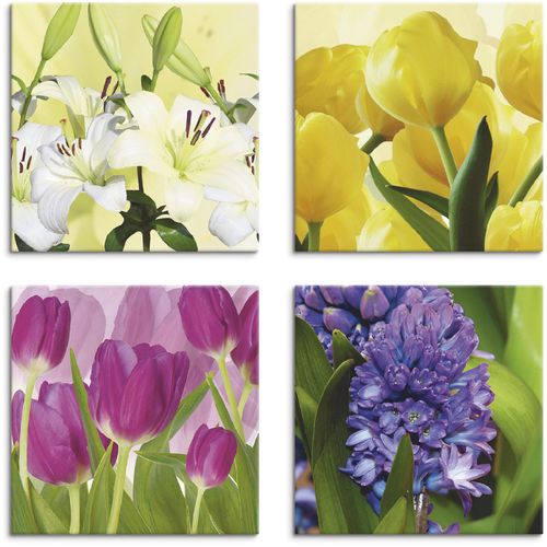 4062144353189 - Leinwandbild ARTLAND Tulpen Lilien Hyazinthe Bilder Gr B H 30 cm x 30 cm Leinwandbild Blumen quadratisch 4 St bunt Bild Leinwandbild Leinwandbilder Bilder 4er Set verschiedene Größen