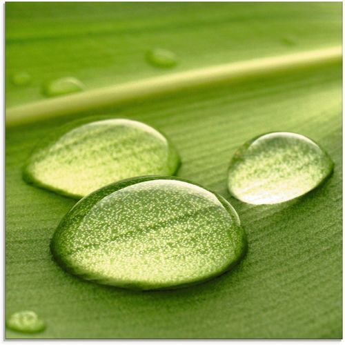 4055327030922 - Glasbild ARTLAND Wassertropfen I Bilder Gr B H 20 cm x 20 cm Zen 1 St grün Glasbilder Bilder in verschiedenen Größen 4055327030922 - Glasbild ARTLAND Wassertropfen I Bilder Gr B H 20 cm x 20 cm Zen 1 St grün Glasbilder Bilder in verschiedenen Größen