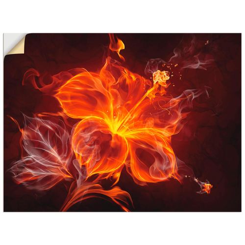 4062144533246 - Wandbild ARTLAND Feuerblume Bilder Gr B H 60 cm x 45 cm Wandaufkleber - Vinyl Blumen Querformat 1 St rot Bild Poster Bilder als Leinwandbild Wandaufkleber oder in versch Größen