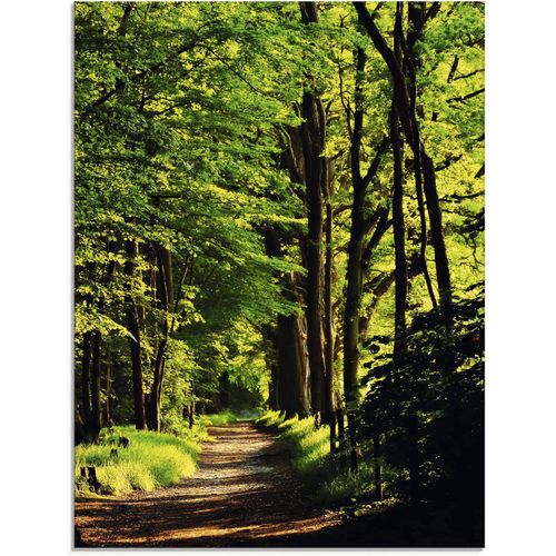 4059745781145 - Glasbild ARTLAND Weg im Wald Bilder Gr B H 60 cm x 80 cm Glasbild Wald 1 St grün Glasbilder in verschiedenen Größen
