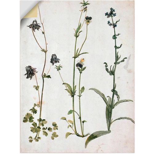 4062144809570 - Wandbild ARTLAND Akelei Stiefmütterchen und Ochsenzunge Bilder Gr B H 30 cm x 40 cm Wandaufkleber - Vinyl Blumenbilder Hochformat 1 St grün Kunstdrucke als Alubild Leinwandbild Wandaufkleber oder Poster in versch Größen