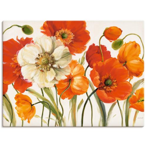 4055327745888 - Wandbild ARTLAND Mohnblumen I Bilder Gr B H 60 cm x 45 cm Leinwandbild Blumen Querformat 1 St orange Bild Poster Bilder als Leinwandbild Wandaufkleber oder in versch Größen