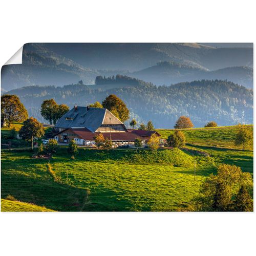 4062144633724 - Wandbild ARTLAND Bauernhof bei StPeter Schwarzwald Bilder Gr B H 60 cm x 40 cm Poster Berge & Alpenbilder Querformat 1 St grün Kunstdrucke als Alubild Leinwandbild Wandaufkleber oder Poster in versch Größen 4062144633724 - Wandbild ARTLAND Bauernhof bei StPeter Schwarzwald Bilder Gr B H 60 cm x 40 cm Poster Berge & Alpenbilder Querformat 1 St grün Kunstdrucke als Alubild Leinwandbild Wandaufkleber oder Poster in versch Größen