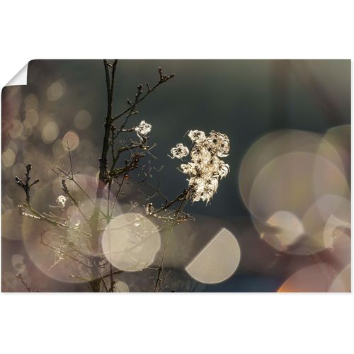 4062144770160 - Wandbild ARTLAND Naturromantik Bilder Gr B H 60 cm x 40 cm Poster Blumenbilder Querformat 1 St bunt Kunstdrucke als Alubild Leinwandbild Wandaufkleber oder Poster in versch Größen