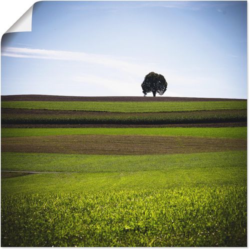 4062144587379 - Wandbild ARTLAND Der Baum Bilder Gr B H 30 cm x 30 cm Poster Wiesen & Baumbilder quadratisch 1 St grün Kunstdrucke als Alubild Leinwandbild Wandaufkleber oder Poster in versch Größen 4062144587379 - Wandbild ARTLAND Der Baum Bilder Gr B H 30 cm x 30 cm Poster Wiesen & Baumbilder quadratisch 1 St grün Kunstdrucke als Alubild Leinwandbild Wandaufkleber oder Poster in versch Größen
