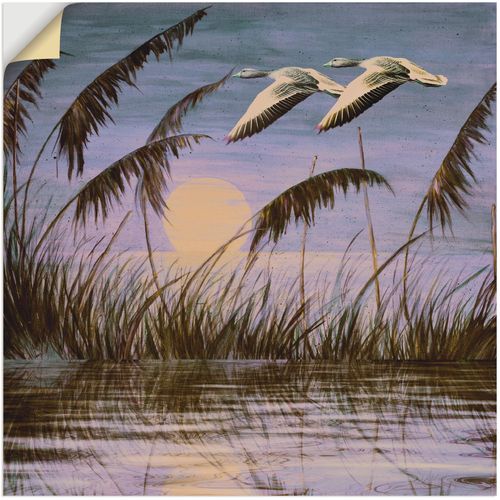 4059745024907 - Wandbild ARTLAND Wildgänse in der Abendsonne Bilder Gr B H 100 cm x 100 cm Wandaufkleber - Vinyl Vögel 1 St blau Bild Kunstdruck Metallbild Metallbilder Bilder als Alubild Leinwandbild Wandaufkleber oder Poster in versch Größen