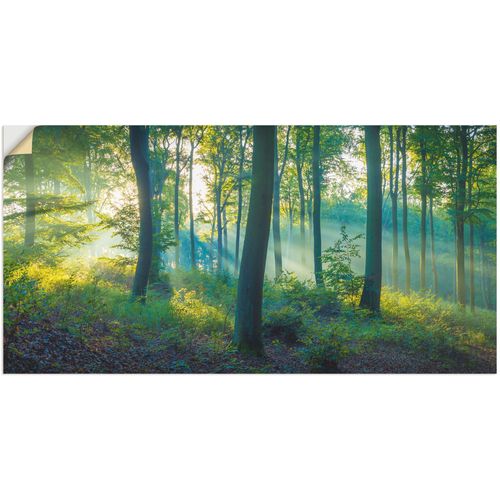 4062144639047 - Wandbild ARTLAND Wald Panorama Bilder Gr B H 150 cm x 75 cm Wandaufkleber - Vinyl Waldbilder Querformat 1 St grün Kunstdrucke als Alubild Leinwandbild Wandaufkleber oder Poster in versch Größen 4062144639047 - Wandbild ARTLAND Wald Panorama Bilder Gr B H 150 cm x 75 cm Wandaufkleber - Vinyl Waldbilder Querformat 1 St grün Kunstdrucke als Alubild Leinwandbild Wandaufkleber oder Poster in versch Größen