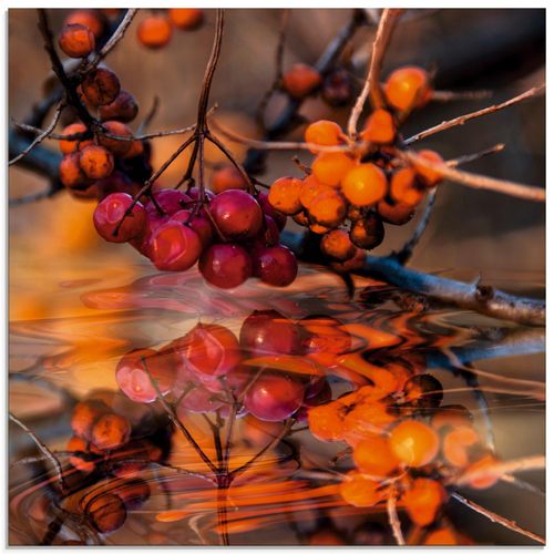 4059745025133 - Glasbild ARTLAND Rote Beeren - Wildbeeren Bilder Gr B H 40 cm x 40 cm Glasbild Pflanzen quadratisch 1 St orange Bild Glasbild Glasbilder Bilder in verschiedenen Größen