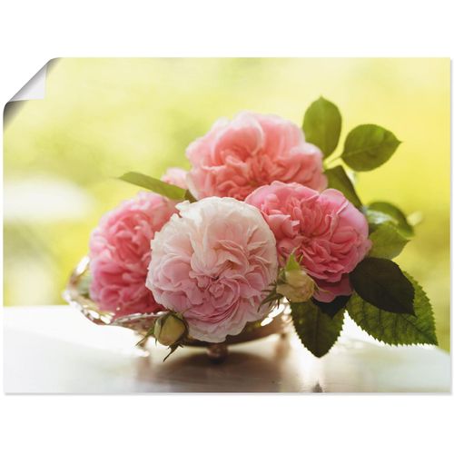 4055327988896 - Wandbild ARTLAND Rosen in Silberschale Stillleben Bilder Gr B H 40 cm x 30 cm Poster Blumen 1 St grün Bild Kunstdruck Poster Bilder als Leinwandbild Wandaufkleber oder in versch Größen 4055327988896 - Wandbild ARTLAND Rosen in Silberschale Stillleben Bilder Gr B H 40 cm x 30 cm Poster Blumen 1 St grün Bild Kunstdruck Poster Bilder als Leinwandbild Wandaufkleber oder in versch Größen