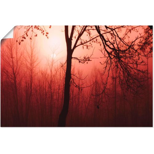 4059745994491 - Wandbild ARTLAND Symphonie Bilder Gr B H 90 cm x 60 cm Poster Wald 1 St rot Bild Kunstdruck Metallbild Metallbilder Bilder als Alubild Leinwandbild Wandaufkleber oder Poster in versch Größen 4059745994491 - Wandbild ARTLAND Symphonie Bilder Gr B H 90 cm x 60 cm Poster Wald 1 St rot Bild Kunstdruck Metallbild Metallbilder Bilder als Alubild Leinwandbild Wandaufkleber oder Poster in versch Größen
