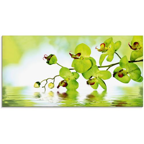 4055327018081 - Glasbild ARTLAND Schöne Orchidee mit grünem Hintergrund Bilder Gr B H 100 cm x 50 cm Glasbild Blumen 1 St grün Glasbilder in verschiedenen Größen