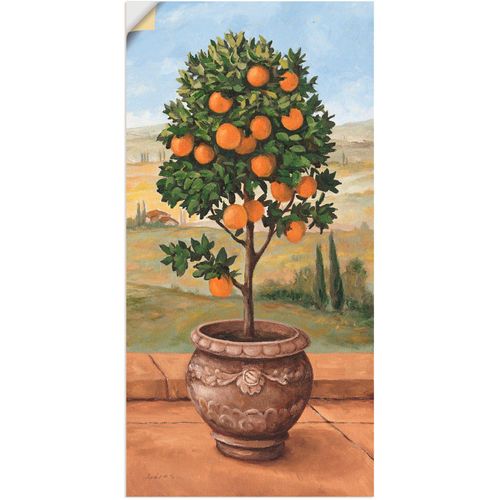 4057738259190 - Wandbild ARTLAND Orangenbaum Bilder Gr B H 50 cm x 100 cm Wandaufkleber - Vinyl Bäume 1 St grün Bild Metallbild Metallbilder Bilder als Alubild Leinwandbild Wandaufkleber oder Poster in versch Größen