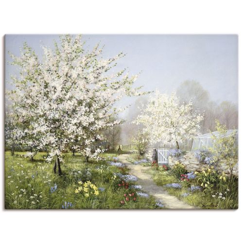 4055327482912 - Wandbild ARTLAND Frühlingsblüten Bilder Gr B H 120 cm x 90 cm Leinwandbild Wiesen & Bäume Querformat 1 St grün Bild Poster Bilder als Leinwandbild Wandaufkleber oder in versch Größen