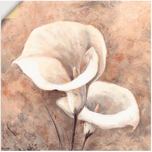 4057738181361 - Wandbild ARTLAND Klassische Callas Bilder Gr B H 50 cm x 50 cm Wandaufkleber - Vinyl Blumen 1 St beige (naturfarben) Bild Poster Bilder als Alubild Leinwandbild Wandaufkleber oder in versch Größen
