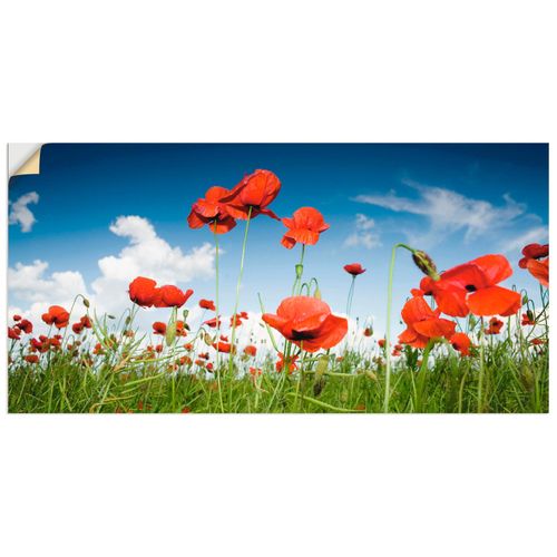 4057738294955 - Wandbild ARTLAND Feld mit Mohnblumen unter Himmel Bilder Gr B H 100 cm x 50 cm Wandaufkleber - Vinyl Blumenwiese Querformat 1 St bunt Bild Metallbild Metallbilder Bilder als Alubild Leinwandbild Wandaufkleber oder Poster in versch Größen