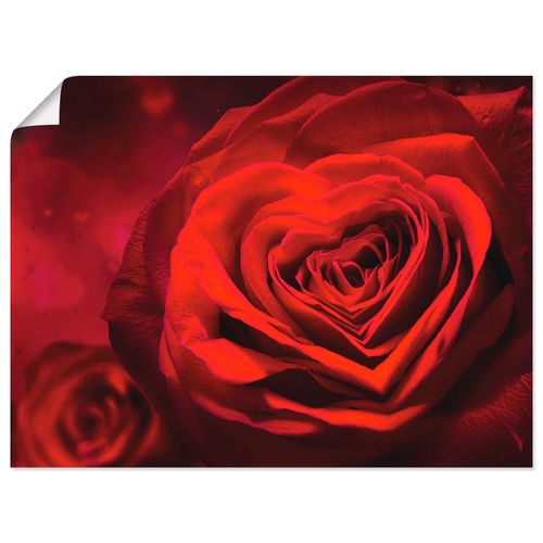 4057738317012 - Wandbild ARTLAND Valentinseinladung mit Herzen und Rosen Bilder Gr B H 60 cm x 45 cm Poster Blumen Querformat 1 St rot Bild Leinwandbild Kunstdrucke Bilder als Alubild Leinwandbild Wandaufkleber oder Poster in versch Größen 4057738317012 - Wandbild ARTLAND Valentinseinladung mit Herzen und Rosen Bilder Gr B H 60 cm x 45 cm Poster Blumen Querformat 1 St rot Bild Leinwandbild Kunstdrucke Bilder als Alubild Leinwandbild Wandaufkleber oder Poster in versch Größen