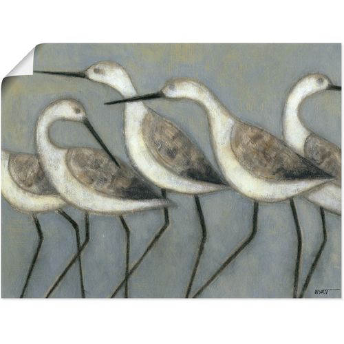 4058661326669 - Wandbild ARTLAND Küstenvögel I Bilder Gr B H 80 cm x 60 cm Poster Vögel Querformat 1 St grau Bild Leinwandbild Kunstdrucke Bilder als Alubild Leinwandbild Wandaufkleber oder Poster in versch Größen 4058661326669 - Wandbild ARTLAND Küstenvögel I Bilder Gr B H 80 cm x 60 cm Poster Vögel Querformat 1 St grau Bild Leinwandbild Kunstdrucke Bilder als Alubild Leinwandbild Wandaufkleber oder Poster in versch Größen