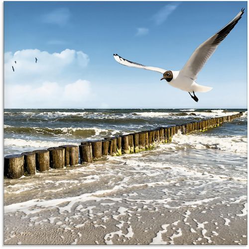 4058661623874 - Glasbild ARTLAND Ostsee Bilder Gr B H 30 cm x 30 cm Gewässer 1 St blau Glasbilder Bilder in verschiedenen Größen 4058661623874 - Glasbild ARTLAND Ostsee Bilder Gr B H 30 cm x 30 cm Gewässer 1 St blau Glasbilder Bilder in verschiedenen Größen
