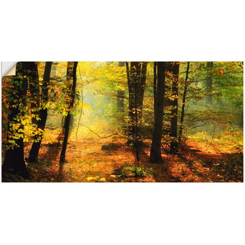 4057738672661 - Wandbild ARTLAND Herbstlicht im Wald Bilder Gr B H 60 cm x 30 cm Wandaufkleber - Vinyl Wald 1 St grün Bild Kunstdruck Kunstdrucke Bilder als Leinwandbild Wandaufkleber oder Poster in versch Größen 4057738672661 - Wandbild ARTLAND Herbstlicht im Wald Bilder Gr B H 60 cm x 30 cm Wandaufkleber - Vinyl Wald 1 St grün Bild Kunstdruck Kunstdrucke Bilder als Leinwandbild Wandaufkleber oder Poster in versch Größen