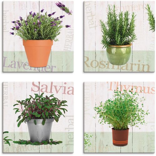 4055327014656 - Leinwandbild ARTLAND Lavendel Rosmarin Salbei Thymian Bilder Gr B H 40 cm x 40 cm Leinwandbild Pflanzen quadratisch 4 St beige (naturfarben) Bild Leinwandbild Leinwandbilder Bilder 4er Set verschiedene Größen 4055327014656 - Leinwandbild ARTLAND Lavendel Rosmarin Salbei Thymian Bilder Gr B H 40 cm x 40 cm Leinwandbild Pflanzen quadratisch 4 St beige (naturfarben) Bild Leinwandbild Leinwandbilder Bilder 4er Set verschiedene Größen