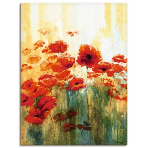 4055327155472 - Wandbild ARTLAND Mohnwiese Bilder Gr B H 30 cm x 40 cm Leinwandbild Blumen 1 St rot Bild Poster Bilder als Alubild Leinwandbild Wandaufkleber oder in versch Größen 4055327155472 - Wandbild ARTLAND Mohnwiese Bilder Gr B H 30 cm x 40 cm Leinwandbild Blumen 1 St rot Bild Poster Bilder als Alubild Leinwandbild Wandaufkleber oder in versch Größen