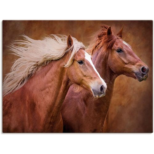 4058661410245 - Wandbild ARTLAND Reinrassige Pferde I Bilder Gr B H 40 cm x 30 cm Leinwandbild Haustiere Querformat 1 St braun Bild Poster Bilder als Alubild Leinwandbild Wandaufkleber oder in versch Größen