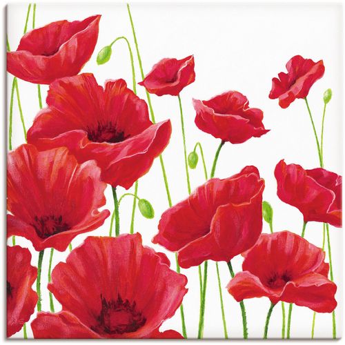 4055327138178 - Wandbild ARTLAND Rote Mohnblumen I Bilder Gr B H 50 cm x 50 cm Leinwandbild Blumen 1 St rot Bild Leinwandbild Kunstdrucke Bilder als Alubild Leinwandbild Wandaufkleber oder Poster in versch Größen