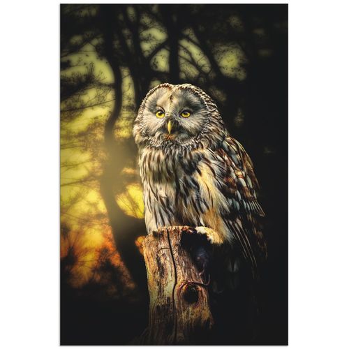 4062144018774 - Wandbild ARTLAND Eule Bilder Gr B H 20 cm x 30 cm Alu-Dibond-Druck Vögel Hochformat 1 St gelb Bild Poster Bilder als Alubild Leinwandbild Wandaufkleber oder in versch Größen 4062144018774 - Wandbild ARTLAND Eule Bilder Gr B H 20 cm x 30 cm Alu-Dibond-Druck Vögel Hochformat 1 St gelb Bild Poster Bilder als Alubild Leinwandbild Wandaufkleber oder in versch Größen