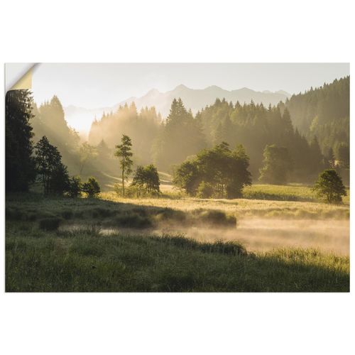4062144270219 - Wandbild ARTLAND Sommermorgen in den Alpen Bilder Gr B H 120 cm x 80 cm Wandaufkleber - Vinyl Wiesen & Bäume Querformat 1 St grün Bild Poster Bilder als Alubild Leinwandbild Wandaufkleber oder in versch Größen