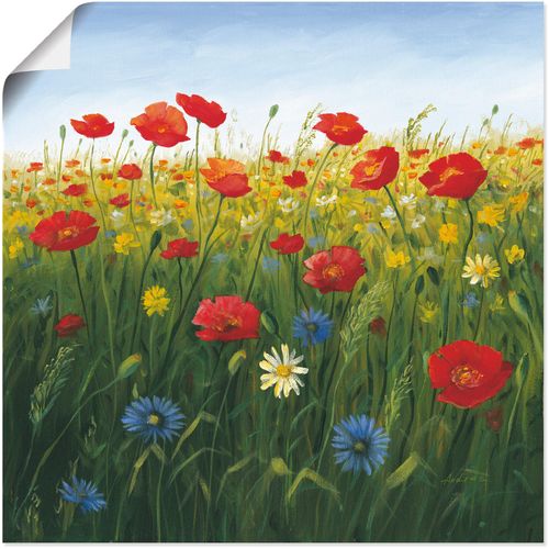 4055327276115 - Wandbild ARTLAND Mohnblumen Landschaft I Bilder Gr B H 40 cm x 40 cm Poster Blumenwiese quadratisch 1 St grün Kunstdrucke als Alubild Leinwandbild Wandaufkleber oder Poster in versch Größen 4055327276115 - Wandbild ARTLAND Mohnblumen Landschaft I Bilder Gr B H 40 cm x 40 cm Poster Blumenwiese quadratisch 1 St grün Kunstdrucke als Alubild Leinwandbild Wandaufkleber oder Poster in versch Größen