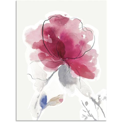 4062144699607 - Wandbild ARTLAND Rosige Blüte II Bilder Gr B H 30 cm x 40 cm Alu-Dibond-Druck Blumenbilder Hochformat 1 St pink Kunstdrucke als Alubild Leinwandbild Wandaufkleber oder Poster in versch Größen 4062144699607 - Wandbild ARTLAND Rosige Blüte II Bilder Gr B H 30 cm x 40 cm Alu-Dibond-Druck Blumenbilder Hochformat 1 St pink Kunstdrucke als Alubild Leinwandbild Wandaufkleber oder Poster in versch Größen