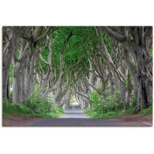 4062144626931 - Wandbild ARTLAND Straße durch den Zauberwald Bilder Gr B H 60 cm x 40 cm Leinwandbild Waldbilder Querformat 1 St grün Kunstdrucke als Alubild Leinwandbild Wandaufkleber oder Poster in versch Größen
