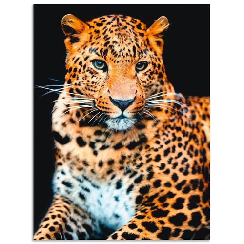 4059745926881 - Wandbild ARTLAND Wütender wilder Leopard Bilder Gr B H 60 cm x 80 cm Alu-Dibond-Druck Wildtiere Hochformat 1 St schwarz Bild Poster Bilder als Alubild Leinwandbild Wandaufkleber oder in versch Größen 4059745926881 - Wandbild ARTLAND Wütender wilder Leopard Bilder Gr B H 60 cm x 80 cm Alu-Dibond-Druck Wildtiere Hochformat 1 St schwarz Bild Poster Bilder als Alubild Leinwandbild Wandaufkleber oder in versch Größen