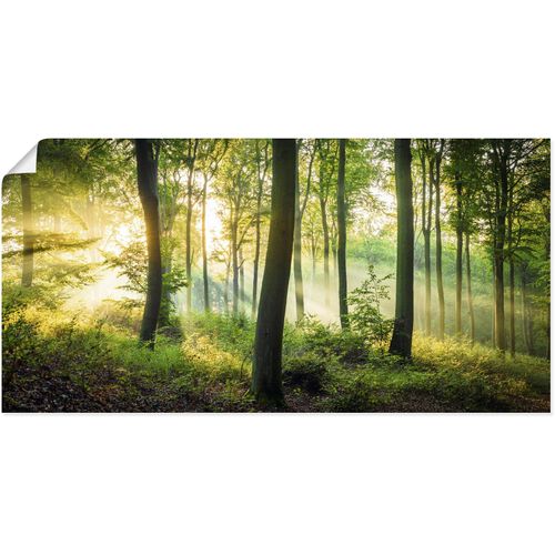 4062144665244 - Wandbild ARTLAND Herbst im Wald II Bilder Gr B H 40 cm x 20 cm Poster Waldbilder Querformat 1 St grün Kunstdrucke als Alubild Leinwandbild Wandaufkleber oder Poster in versch Größen