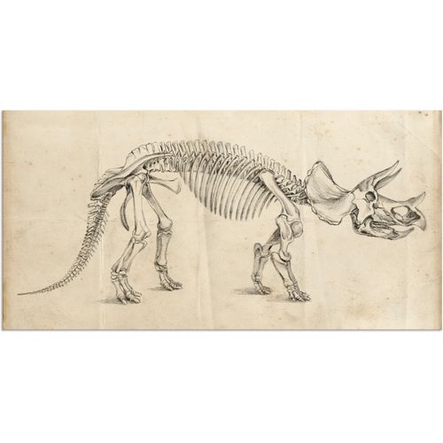 4058661310392 - Wandbild ARTLAND Dinosauria Lehre II Bilder Gr B H 40 cm x 20 cm Alu-Dibond-Druck Dinosaurier Querformat 1 St beige (naturfarben) Bild Poster Bilder als Alubild Leinwandbild Wandaufkleber oder in versch Größen