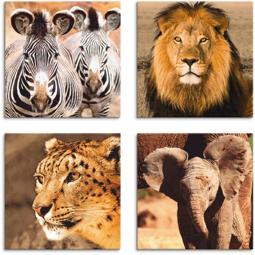 4062144353707 - Leinwandbild ARTLAND Zebras Löwe Schneeleopard Elefanten Bilder Gr B H 30 cm x 30 cm Leinwandbild Wildtiere quadratisch 4 St braun Bild Leinwandbild Leinwandbilder Bilder 4er Set verschiedene Größen