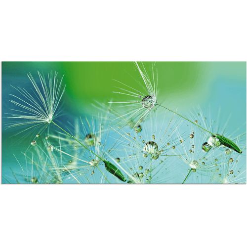 4059745303675 - Wandbild ARTLAND Glitzernde Pustblumen mit Wassertropfen Bilder Gr B H 60 cm x 30 cm Alu-Dibond-Druck Blumen 1 St blau Bild Kunstdruck Metallbild Metallbilder Bilder als Alubild Leinwandbild Wandaufkleber oder Poster in versch Größen