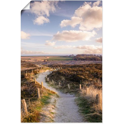4062144745915 - Wandbild ARTLAND Weg durch Naturschutzgebiet Morsum-Kliff Bilder Gr B H 60 cm x 90 cm Poster Felder Hochformat 1 St lila Kunstdrucke als Alubild Leinwandbild Wandaufkleber oder Poster in versch Größen