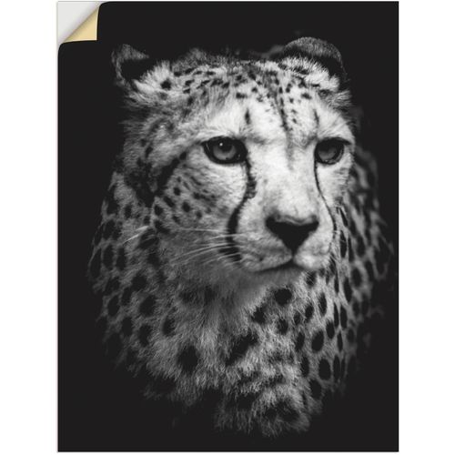 4062144626351 - Wandbild ARTLAND Der Gepard Bilder Gr B H 30 cm x 40 cm Wandaufkleber - Vinyl Wildtiere Hochformat 1 St schwarz Kunstdrucke als Alubild Leinwandbild Wandaufkleber oder Poster in versch Größen 4062144626351 - Wandbild ARTLAND Der Gepard Bilder Gr B H 30 cm x 40 cm Wandaufkleber - Vinyl Wildtiere Hochformat 1 St schwarz Kunstdrucke als Alubild Leinwandbild Wandaufkleber oder Poster in versch Größen