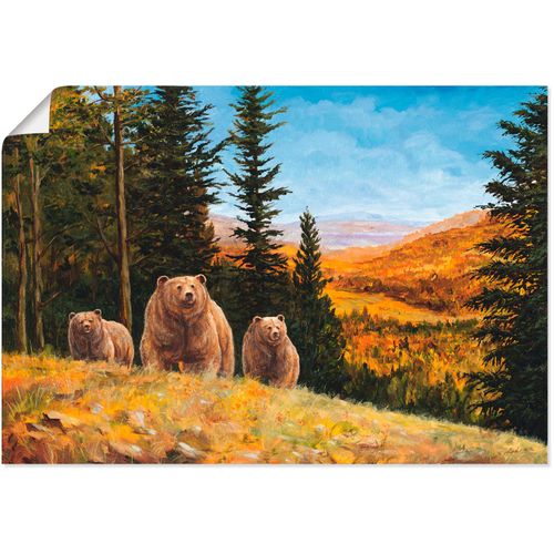 4055327300377 - Wandbild ARTLAND Grizzly Bären Bilder Gr B H 70 cm x 50 cm Poster Wildtiere 1 St braun Bild Poster Bilder als Alubild Leinwandbild Wandaufkleber oder in versch Größen