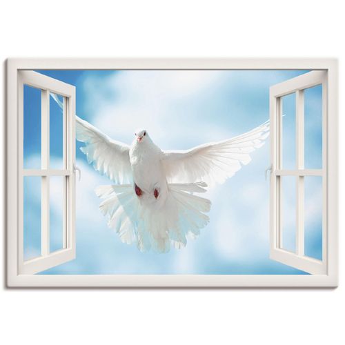 4057738334705 - Wandbild ARTLAND Fensterblick Taube vor der Sonne Bilder Gr B H 70 cm x 50 cm Leinwandbild Vögel Querformat 1 St weiß Bild Leinwandbild Kunstdrucke Bilder als Alubild Leinwandbild Wandaufkleber oder Poster in versch Größen