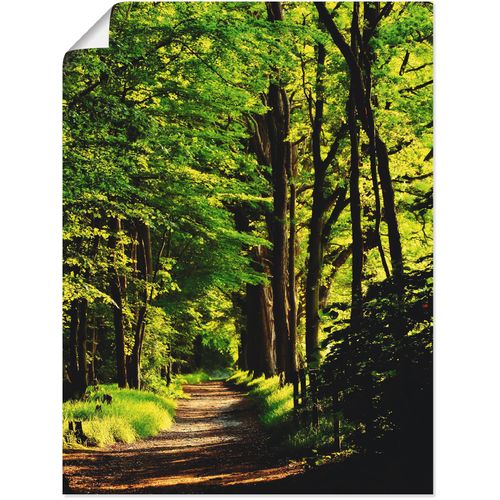 4059745781008 - Wandbild ARTLAND Weg im Wald Bilder Gr B H 90 cm x 120 cm Poster Wald 1 St grün Bild Leinwandbild Kunstdrucke Bilder als Alubild Leinwandbild Wandaufkleber oder Poster in versch Größen