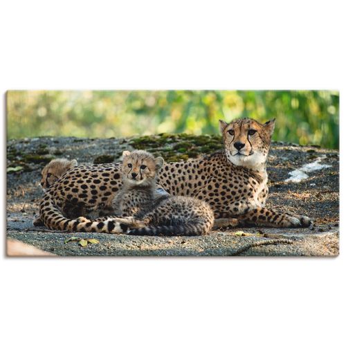 4059745729390 - Wandbild ARTLAND Gepard 2 Bilder Gr B H 60 cm x 30 cm Leinwandbild Wildtiere Querformat 1 St braun Bild Leinwandbild Kunstdrucke Bilder als Alubild Leinwandbild Wandaufkleber oder Poster in versch Größen