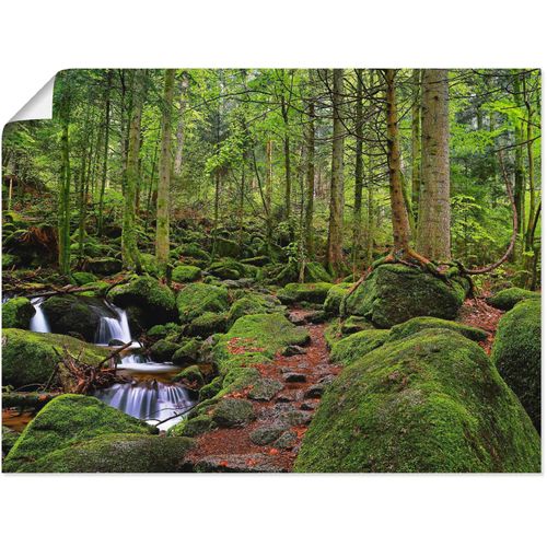 4055327634687 - Wandbild ARTLAND Zauberwald Bilder Gr B H 60 cm x 45 cm Poster Wald 1 St grün Bild Kunstdruck Poster Bilder als Leinwandbild Wandaufkleber oder in versch Größen 4055327634687 - Wandbild ARTLAND Zauberwald Bilder Gr B H 60 cm x 45 cm Poster Wald 1 St grün Bild Kunstdruck Poster Bilder als Leinwandbild Wandaufkleber oder in versch Größen