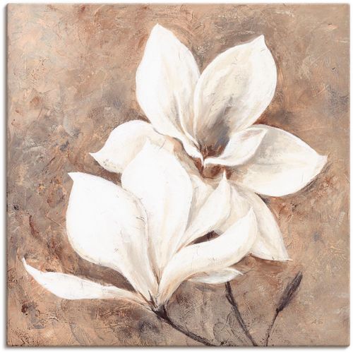 4055327137782 - Wandbild ARTLAND Klassische Magnolien Bilder Gr B H 70 cm x 70 cm Leinwandbild Blumen 1 St beige (naturfarben) Bild Leinwandbild Kunstdrucke Bilder als Alubild Leinwandbild Wandaufkleber oder Poster in versch Größen