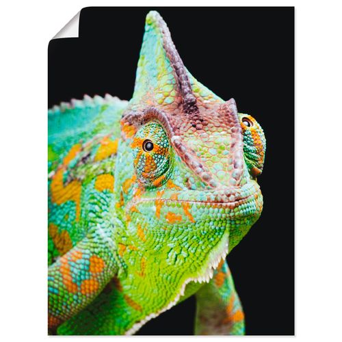 4055327640039 - Wandbild ARTLAND Yemen Chamäleon Bilder Gr B H 60 cm x 80 cm Poster Reptilien Hochformat 1 St schwarz Bild Metallbild Metallbilder Bilder als Alubild Leinwandbild Wandaufkleber oder Poster in versch Größen