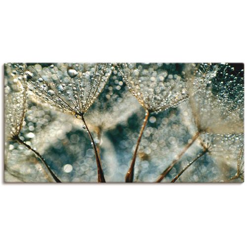 4062144343722 - Wandbild ARTLAND Pusteblume Regenschauer Bilder Gr B H 40 cm x 20 cm Leinwandbild Blumen 1 St grau Bild Kunstdruck Kunstdrucke Bilder als Alubild Leinwandbild Wandaufkleber oder Poster in versch Größen