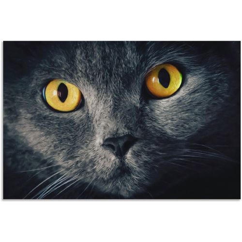 4059745798631 - Wandbild ARTLAND Katzenaugen Bilder Gr B H 60 cm x 40 cm Alu-Dibond-Druck Haustiere 1 St schwarz Kunstdrucke Bilder als Alubild Leinwandbild Wandaufkleber oder Poster in versch Größen 4059745798631 - Wandbild ARTLAND Katzenaugen Bilder Gr B H 60 cm x 40 cm Alu-Dibond-Druck Haustiere 1 St schwarz Kunstdrucke Bilder als Alubild Leinwandbild Wandaufkleber oder Poster in versch Größen